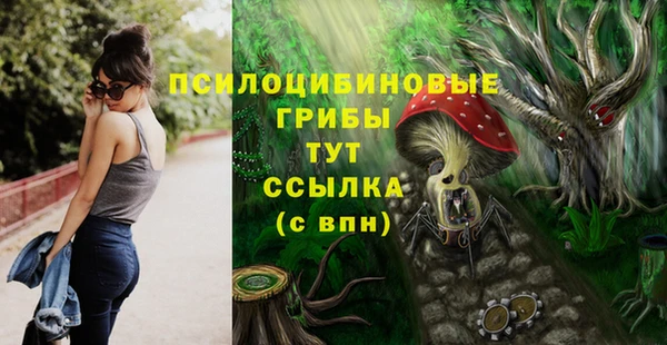 крисы Белоозёрский