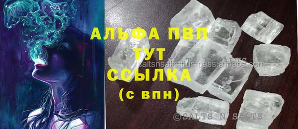 стаф Белокуриха