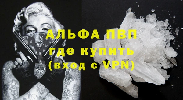крисы Белоозёрский