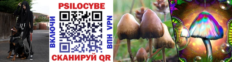 Галлюциногенные грибы MAGIC MUSHROOMS  KRAKEN как войти  Костомукша  магазин   